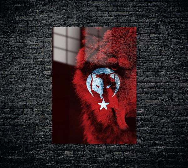 Türkçülük Metal Poster 1639