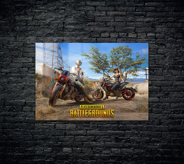 PUBG Battlegrounds Metal Poster 1197