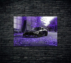Mercedes AMG GTR PRO Metal Poster 1694