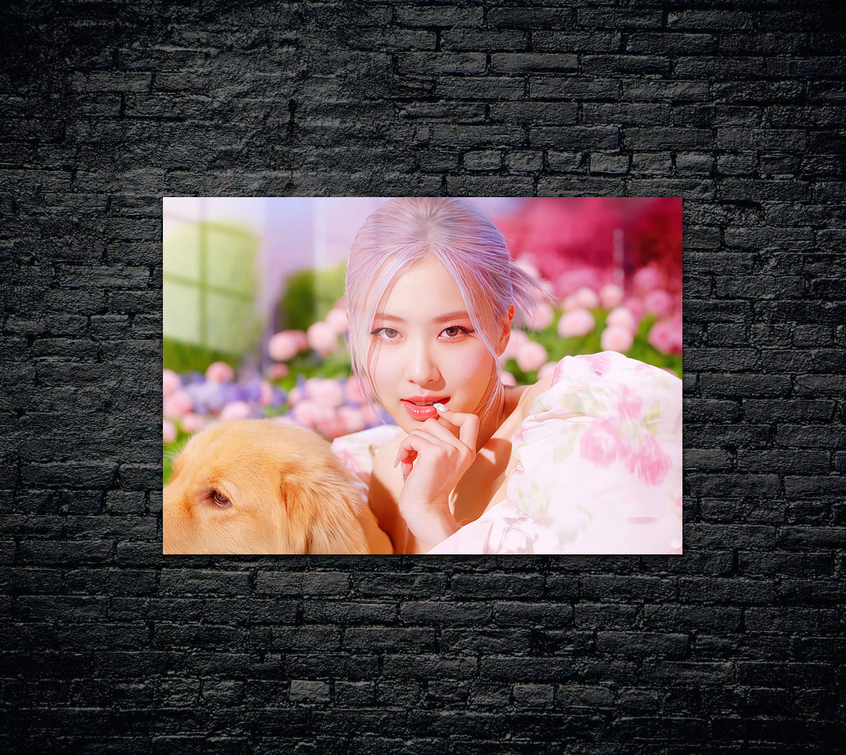 Black Pink Metal Poster 1491