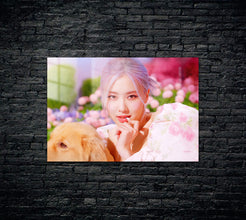 Black Pink Metal Poster 1491