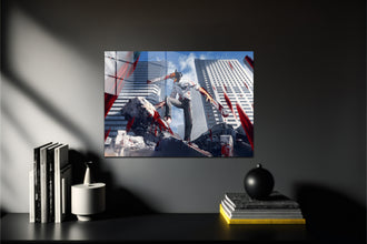 Chainsaw Man Denji Metal Poster 164