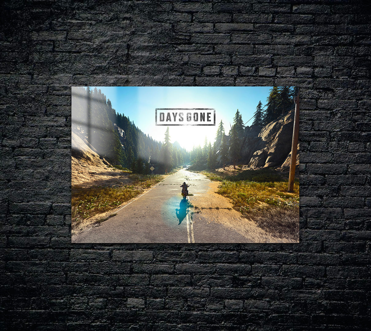 Days Gone Metal Poster 228