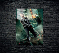 Harry Potter Metal Poster 1233