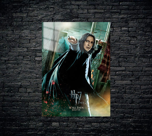 Harry Potter Metal Poster 1236
