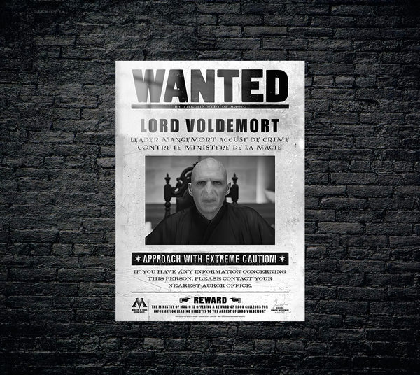 Harry Potter Metal Poster 1241