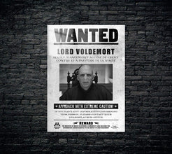 Harry Potter Metal Poster 1241