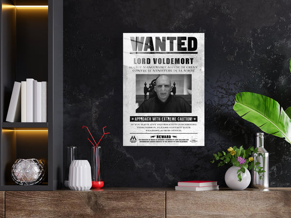 Harry Potter Metal Poster 1241