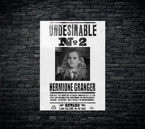 Harry Potter Metal Poster 1248