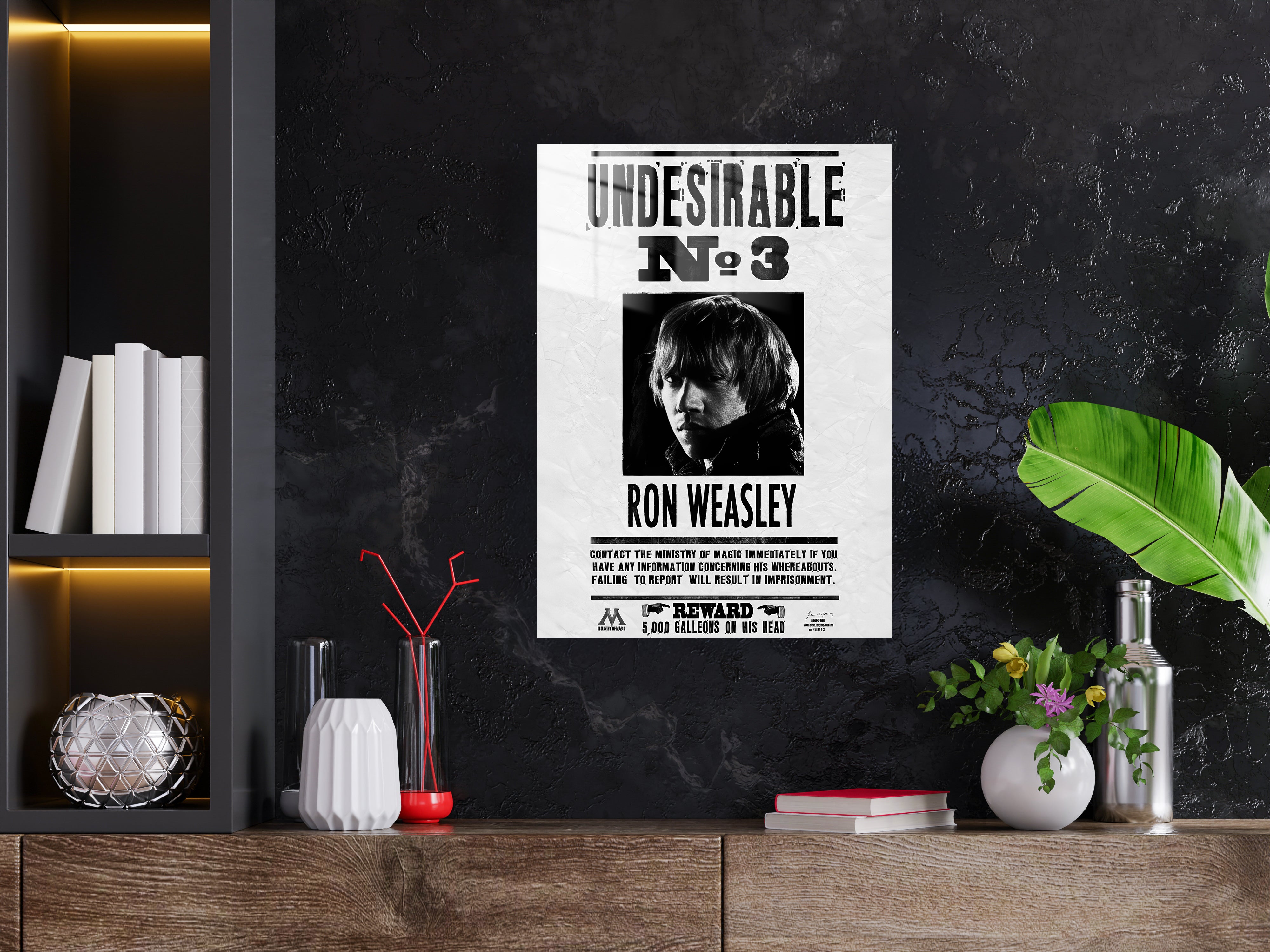 Harry Potter Metal Poster 1252