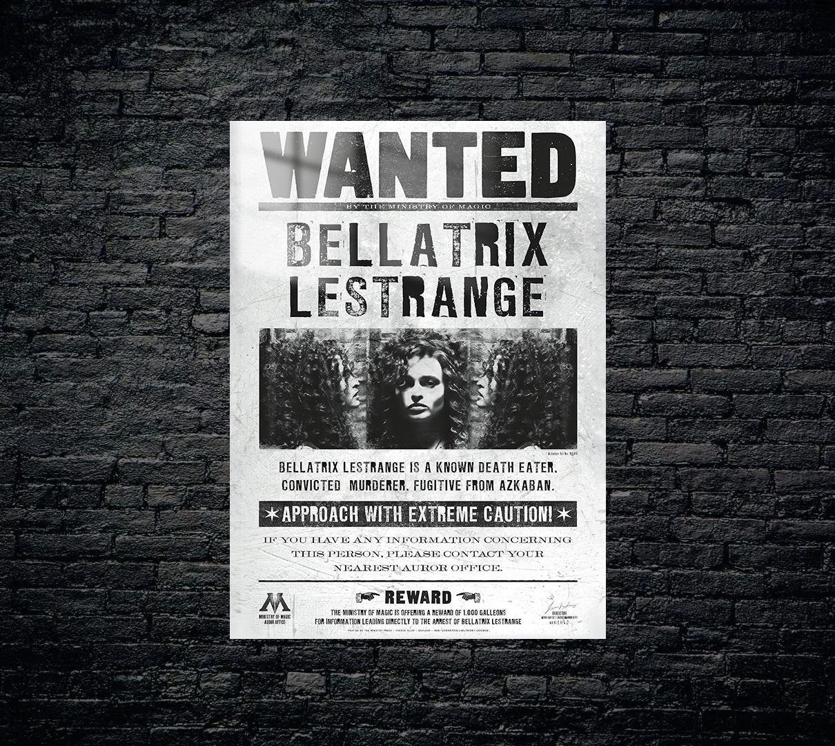 Harry Potter Metal Poster 1256