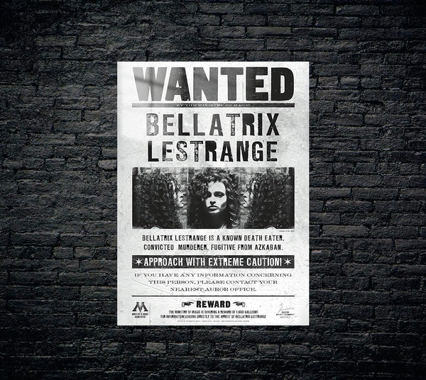 Harry Potter Metal Poster 1256