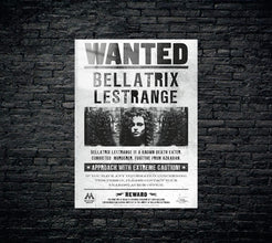 Harry Potter Metal Poster 1256
