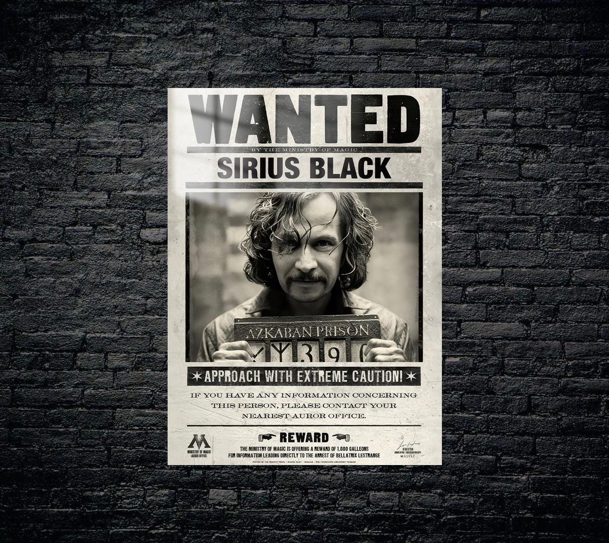 Harry Potter Metal Poster 1225