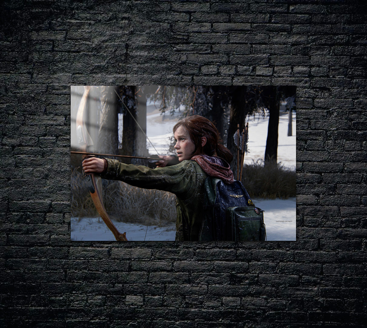The Last of Us Ellie Metal Poster 907