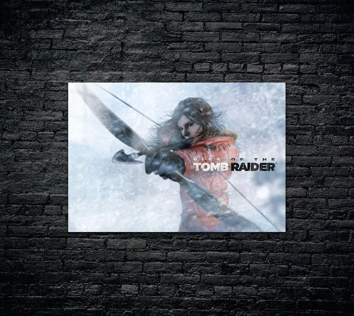 Tomb Raider Metal Poster 922