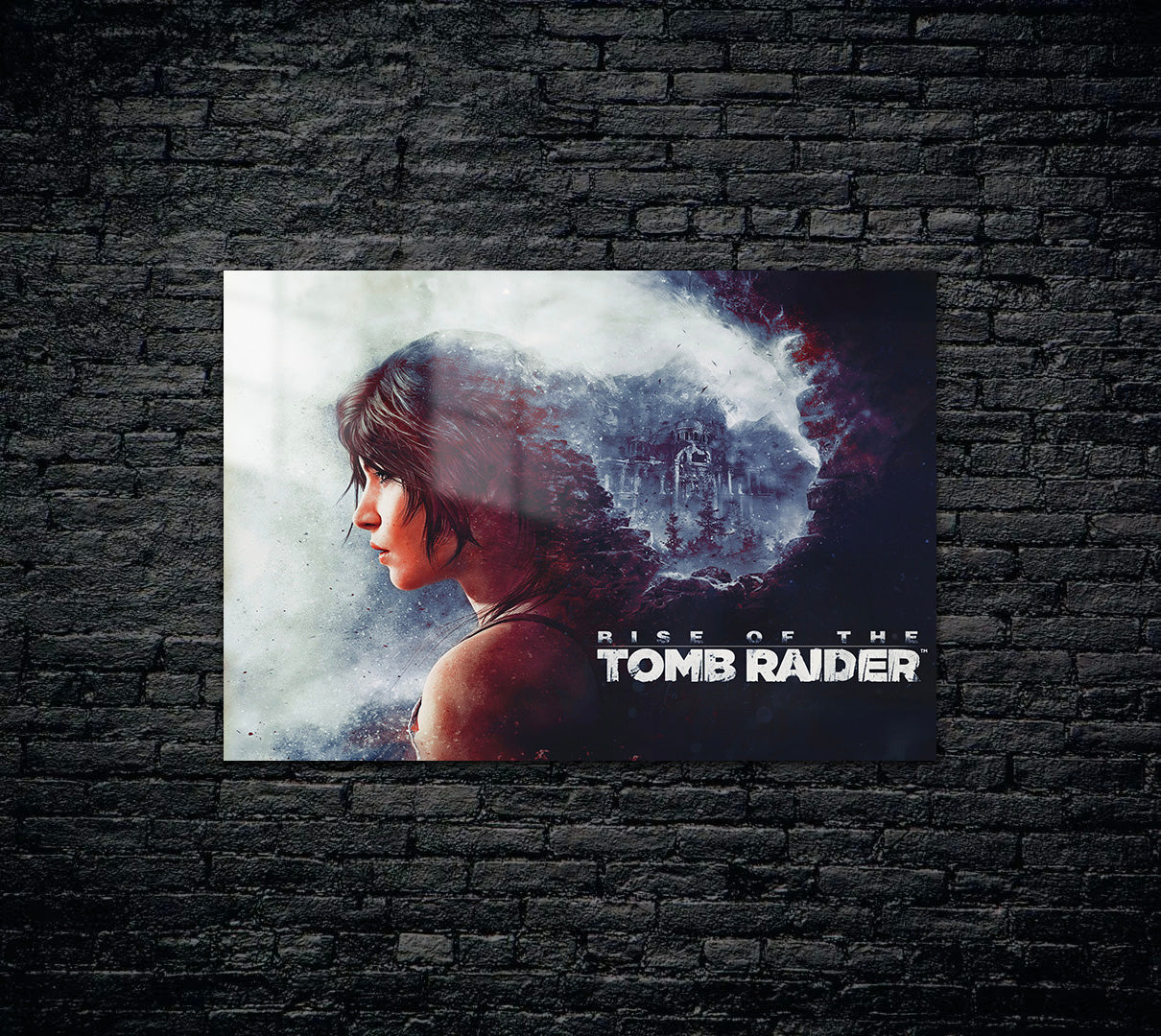 Tomb Raider Metal Poster 932